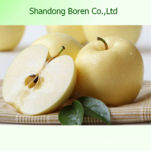Köstliche China Frische Apple Golden Apple mit guten Ruf